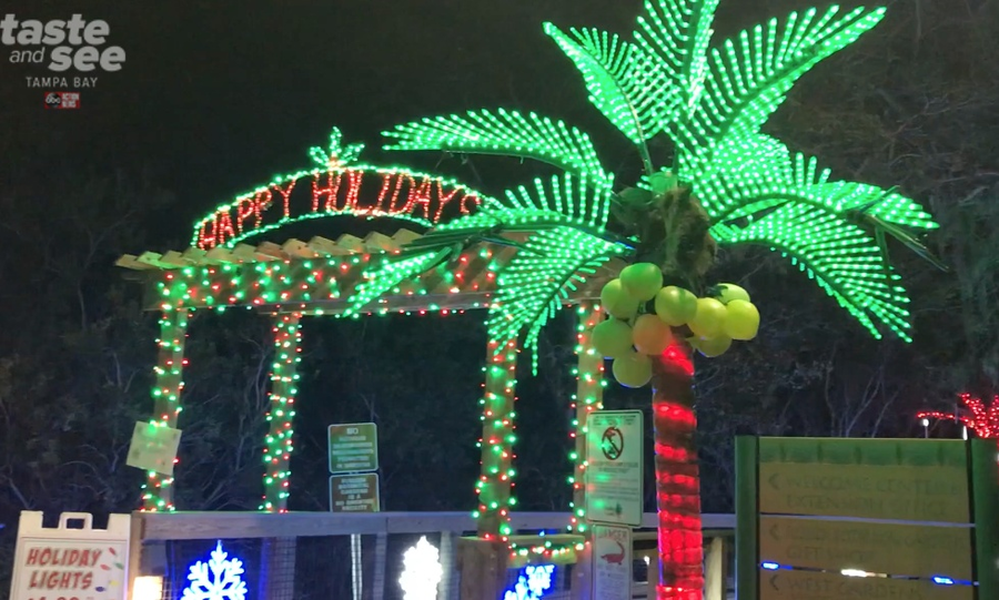 PHOTOS Christmas lights at the Florida Botanical Gardens in Largo